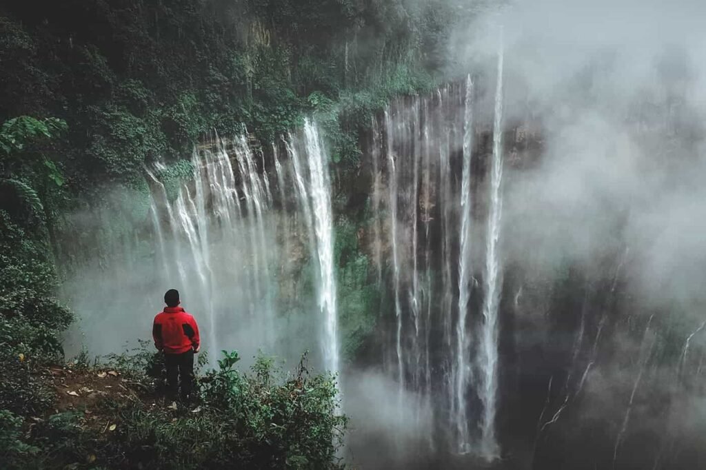 Iswanto Arif FWCUZqXCrUs Unsplash 1024x682