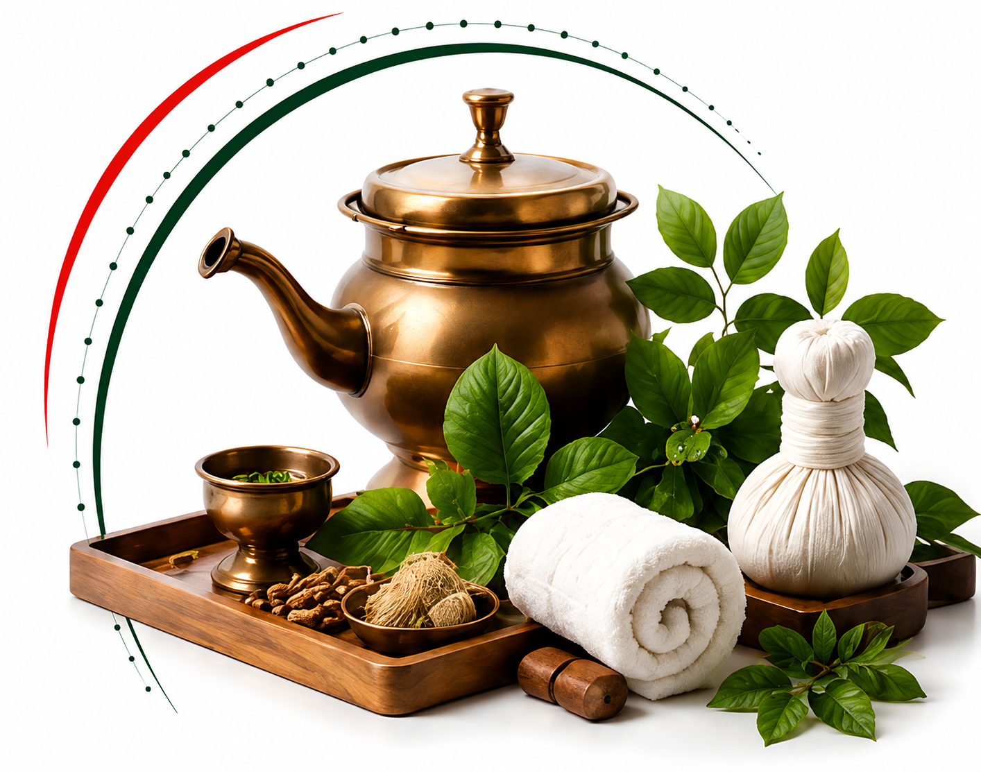 panchakarma treatment page.png image